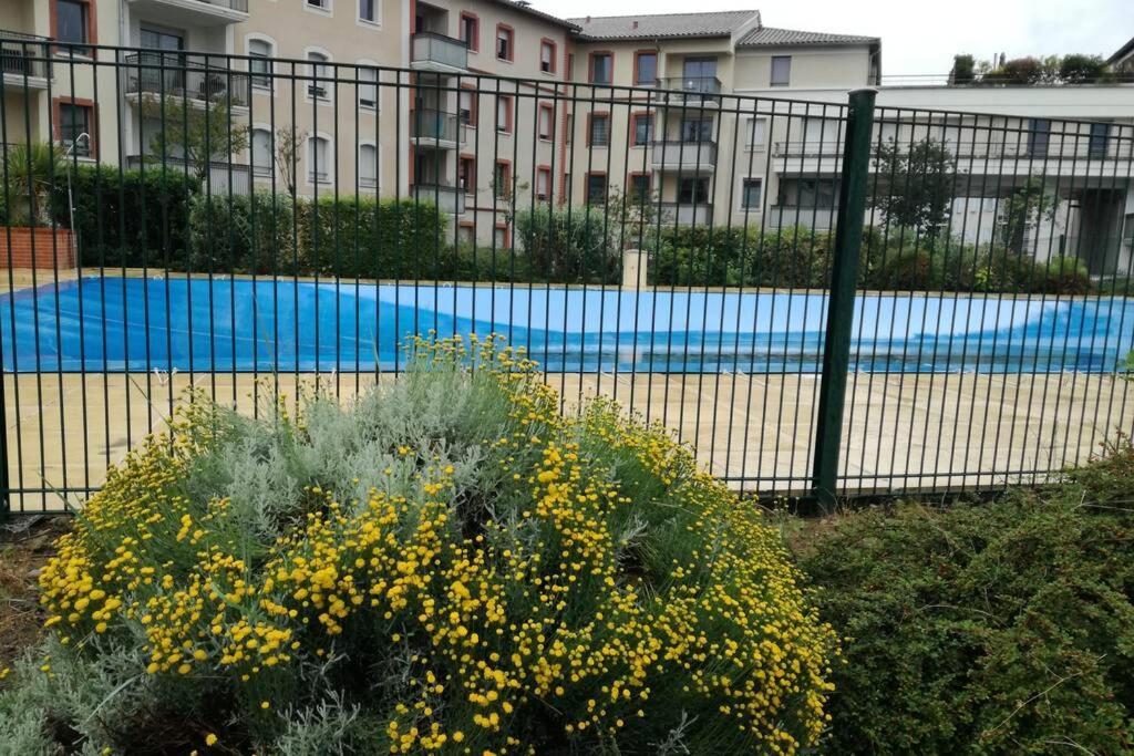 T2 Entier - Hyper Centre - Cosy Home Grenade-sur-Garonne Екстериор снимка